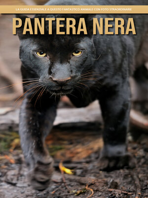 cover image of Pantera Nera